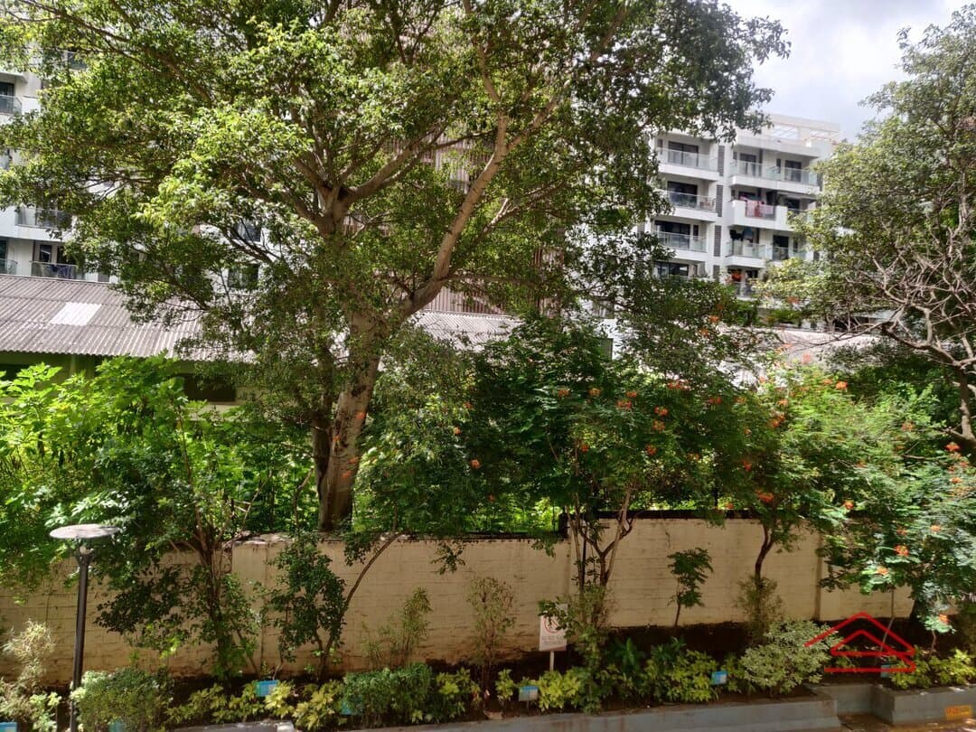 Balcony 2