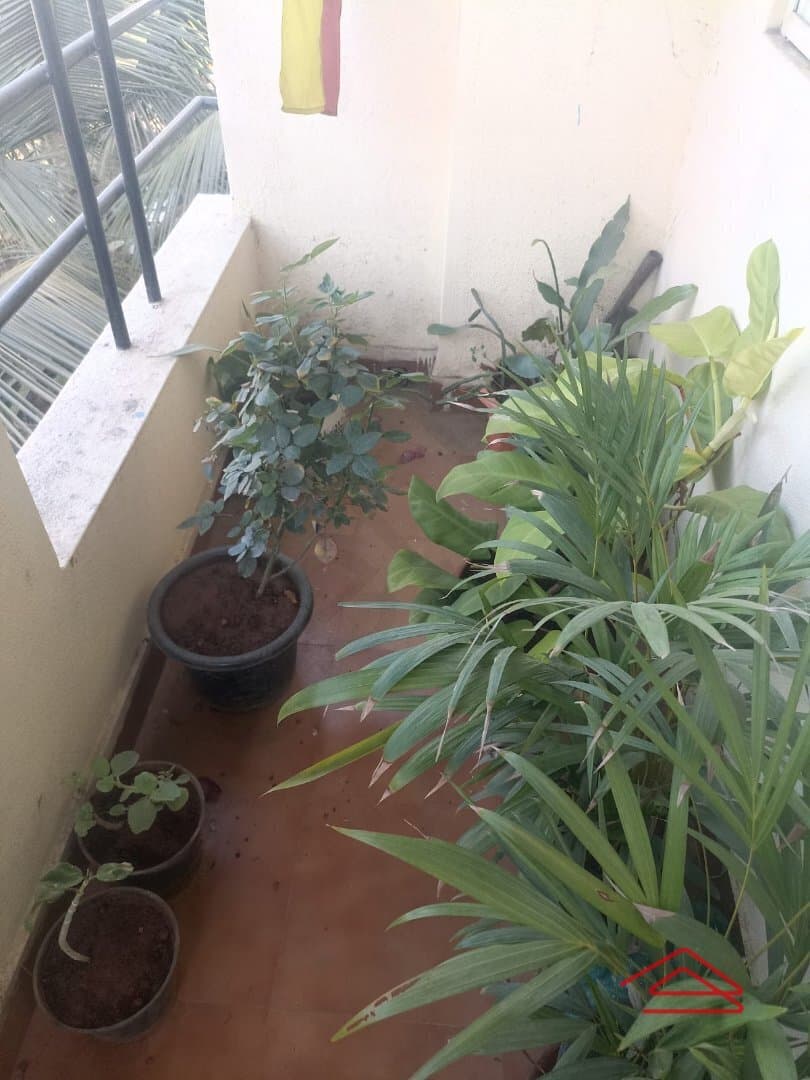 Balcony 1