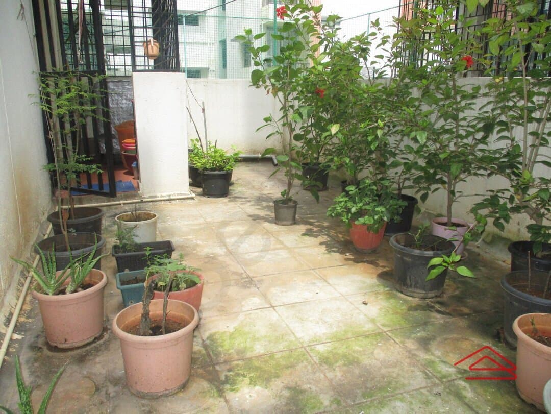 Garden 1