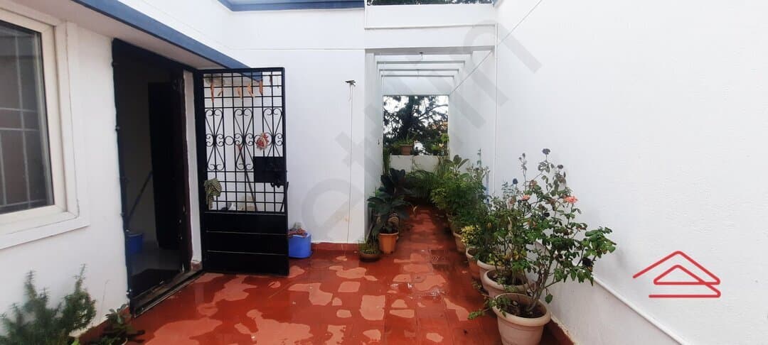 Terrace 1