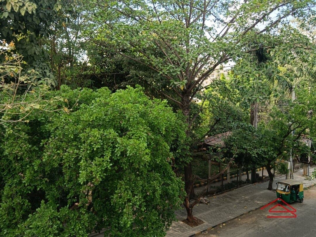 Balcony 1