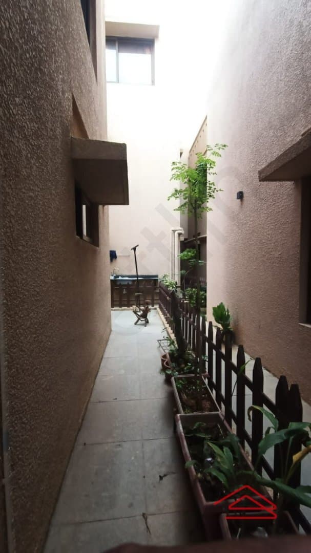 Back Yard 1