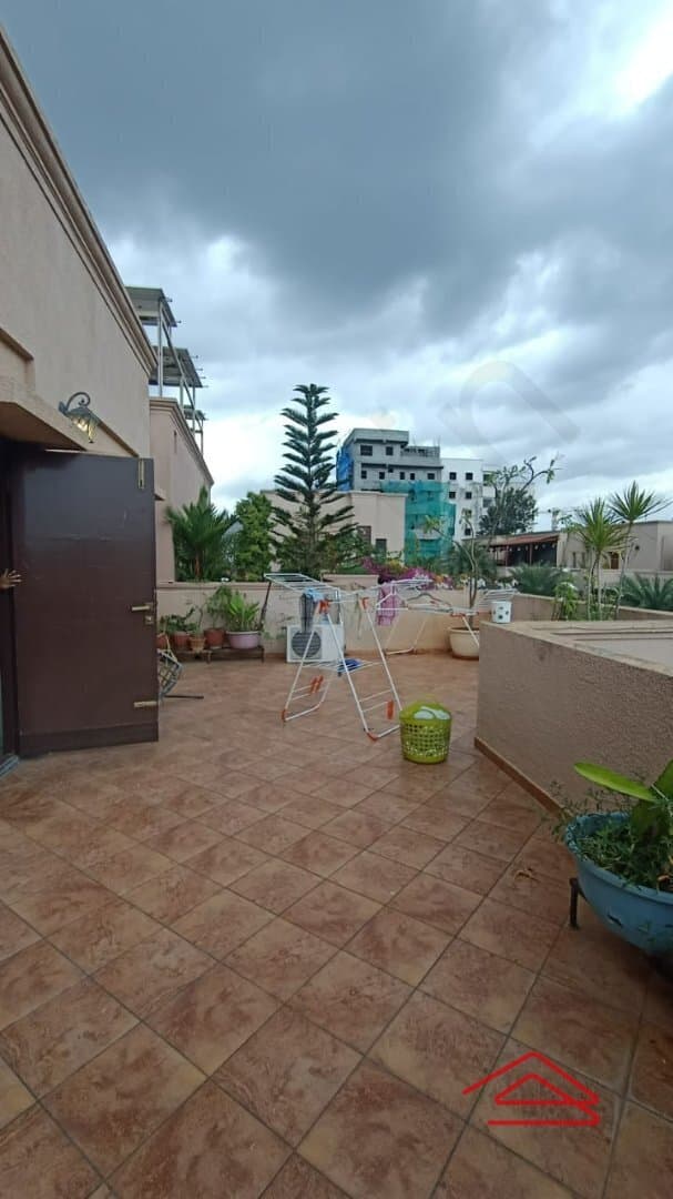 Back Yard 1