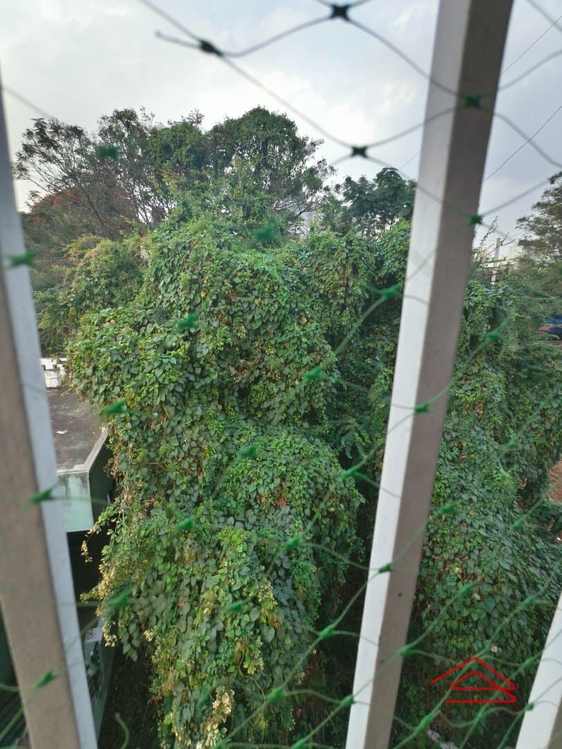 Balcony 1