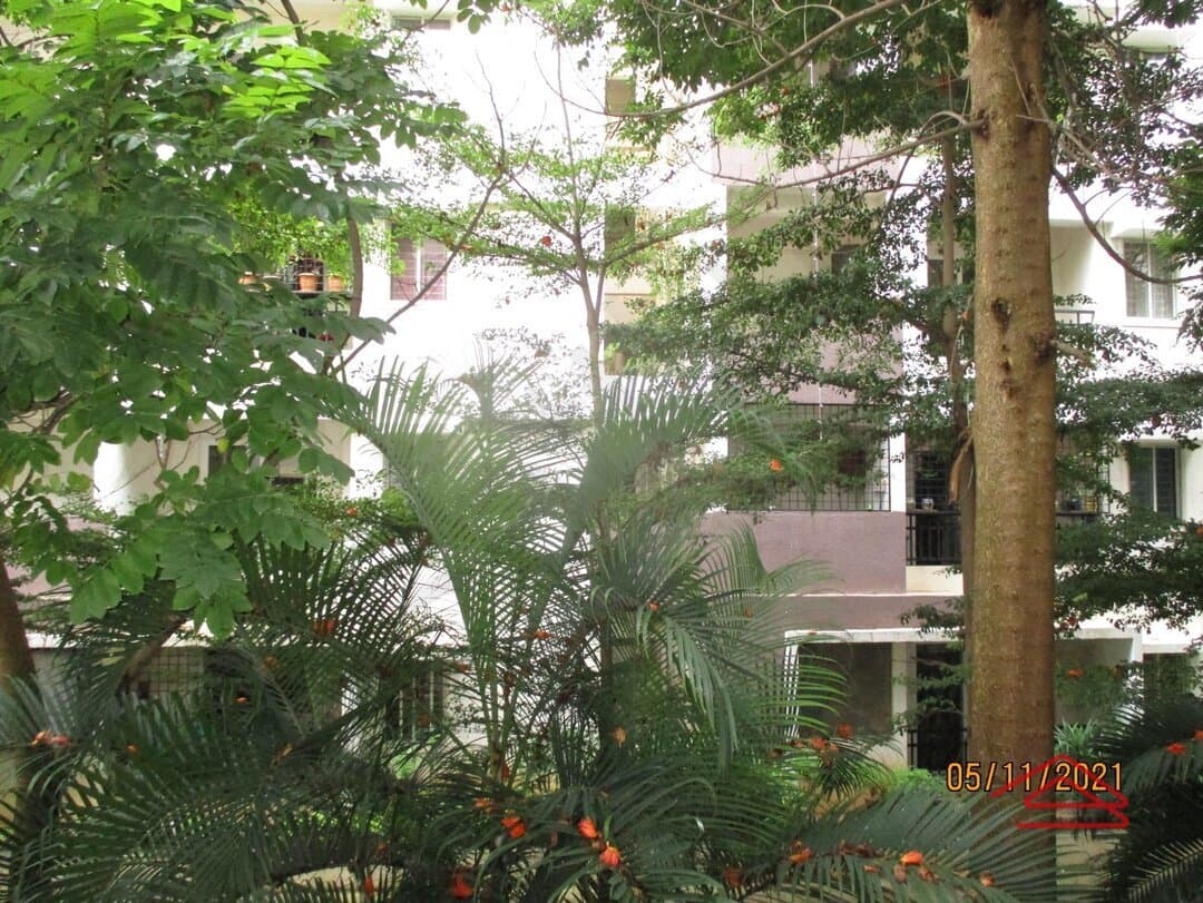 Balcony 1
