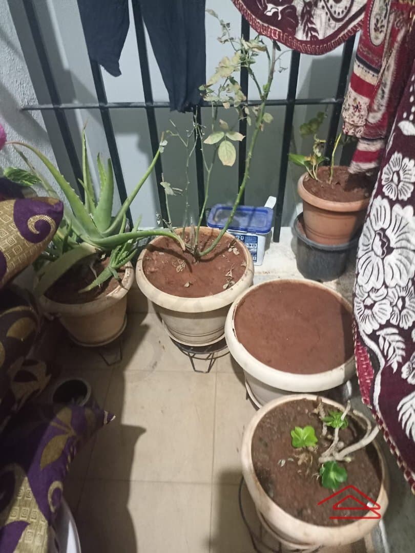 Balcony 1