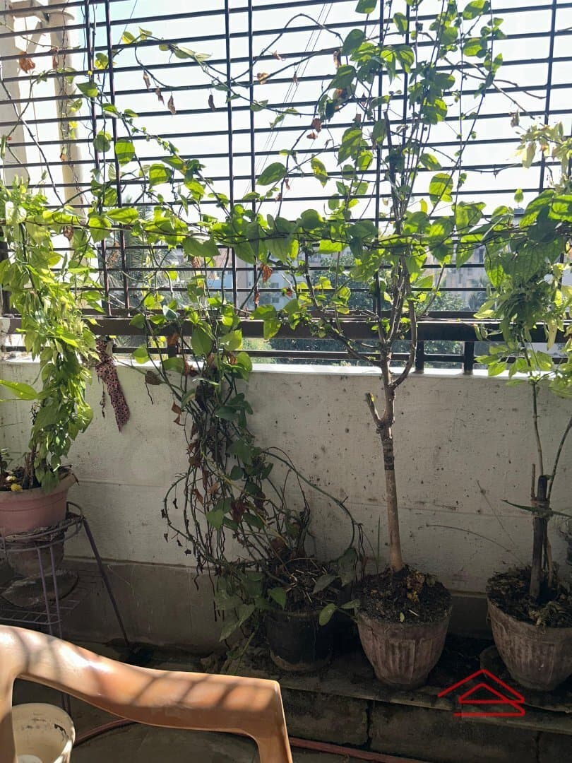 Balcony 1
