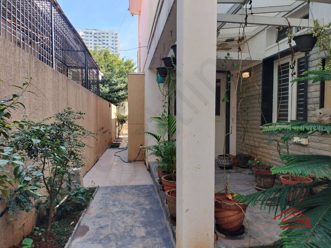 Garden 1
