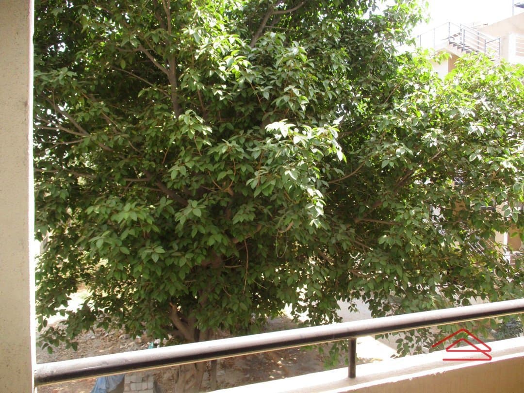 Balcony 1