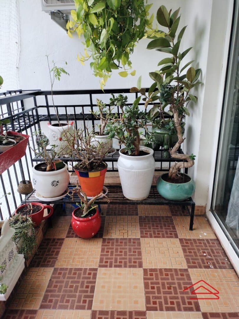 Balcony 1