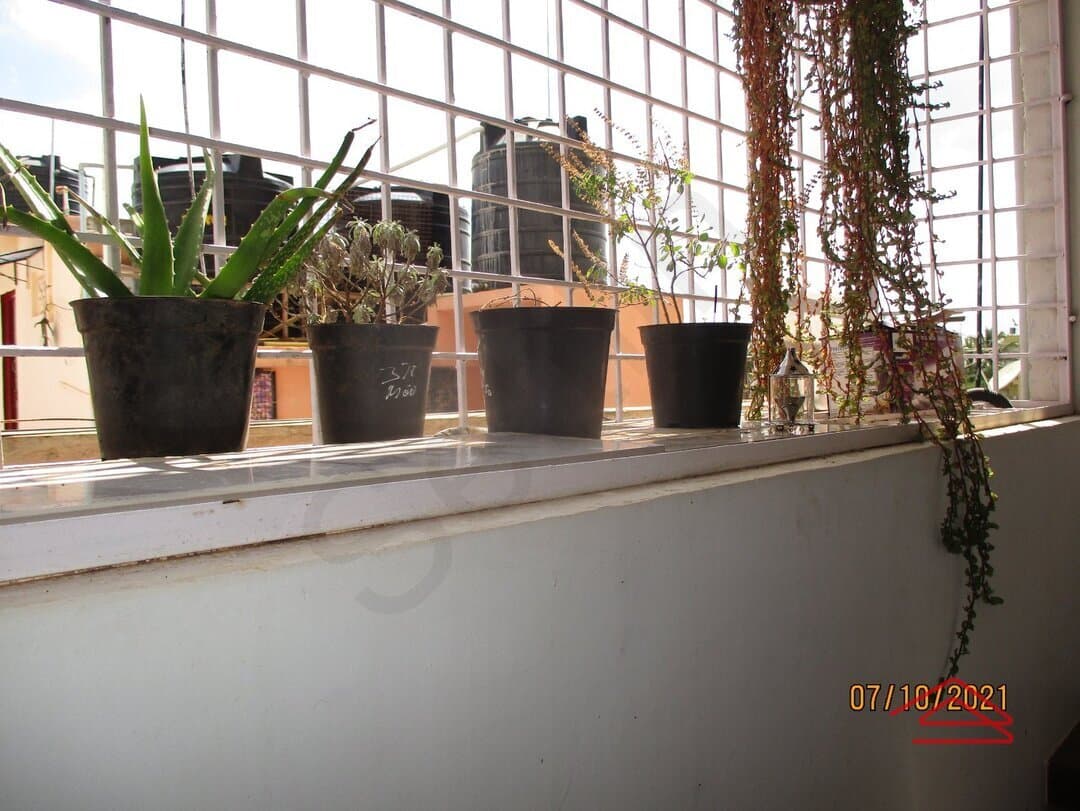 Balcony 1