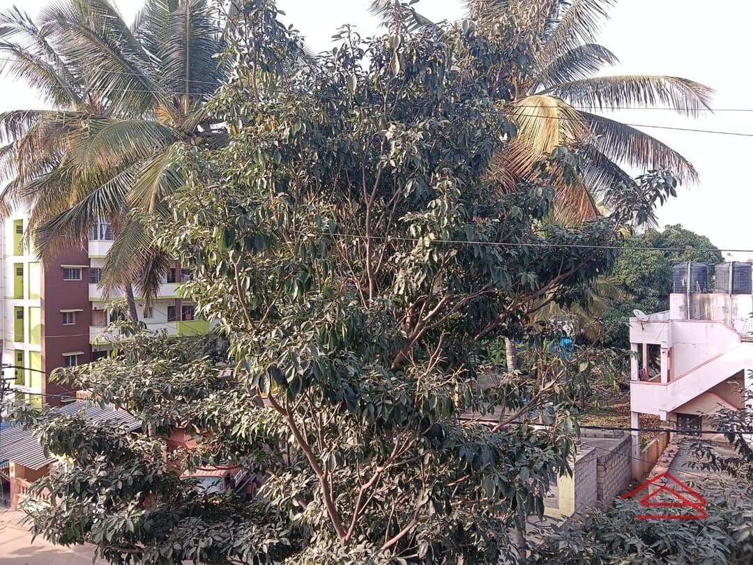 Balcony 3