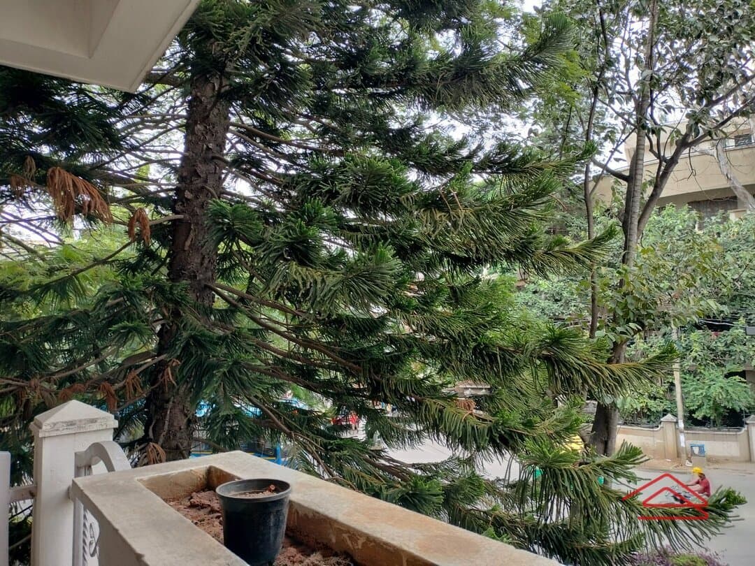 Balcony 1