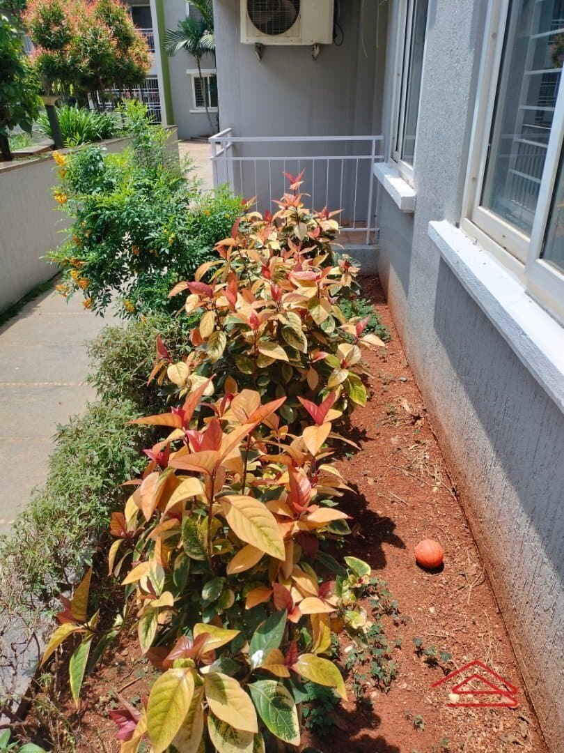 Garden 1