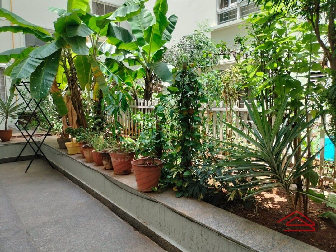 Garden 1