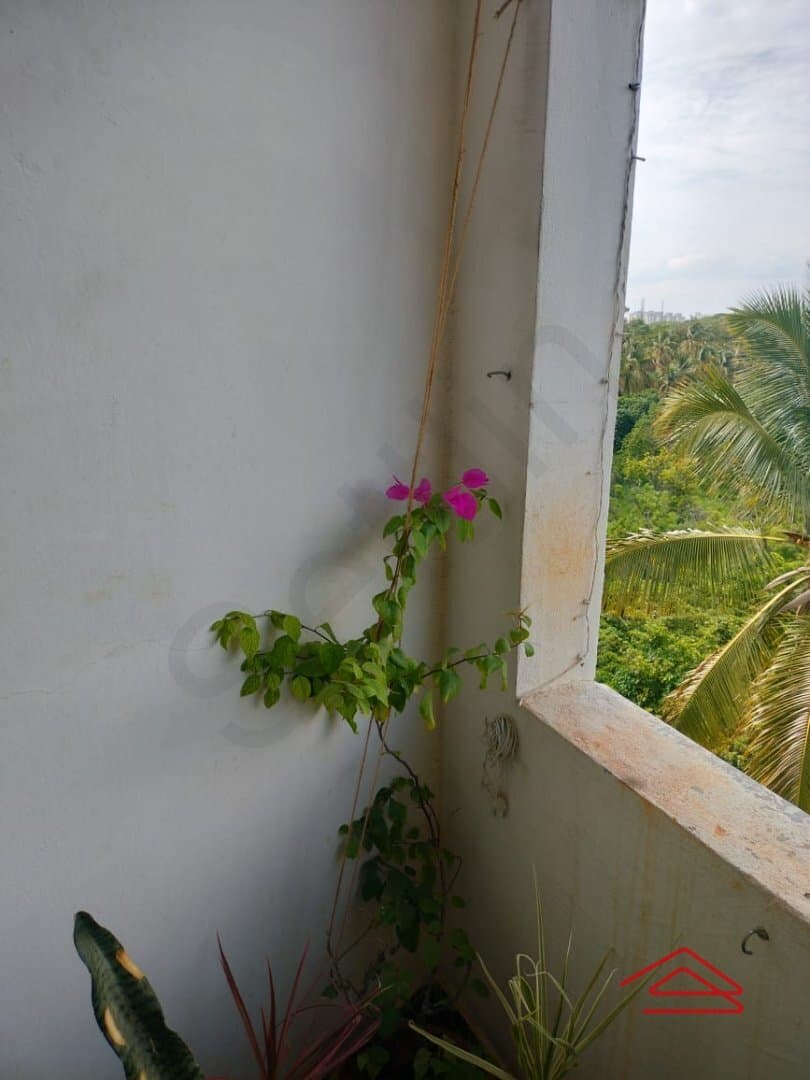 Balcony 2