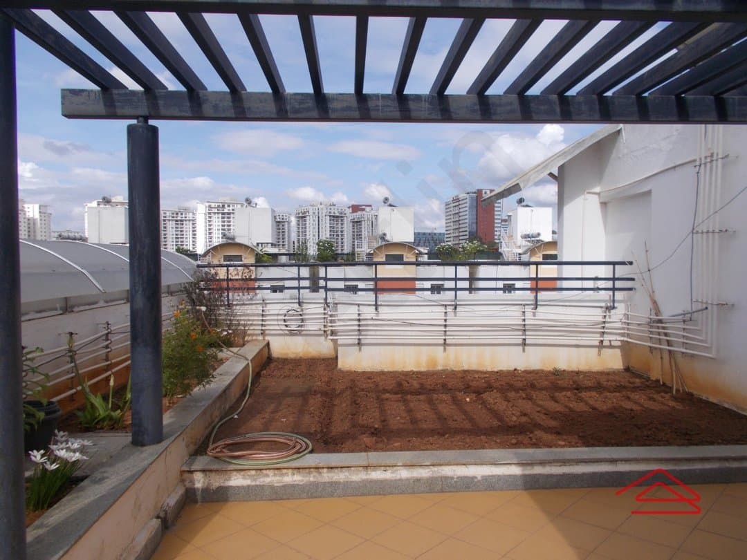 Terrace 1