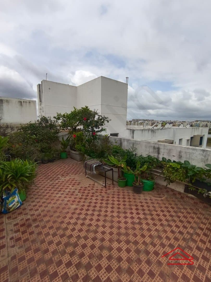 Terrace 1