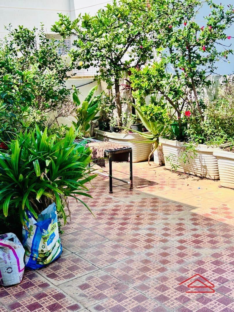 Terrace 1