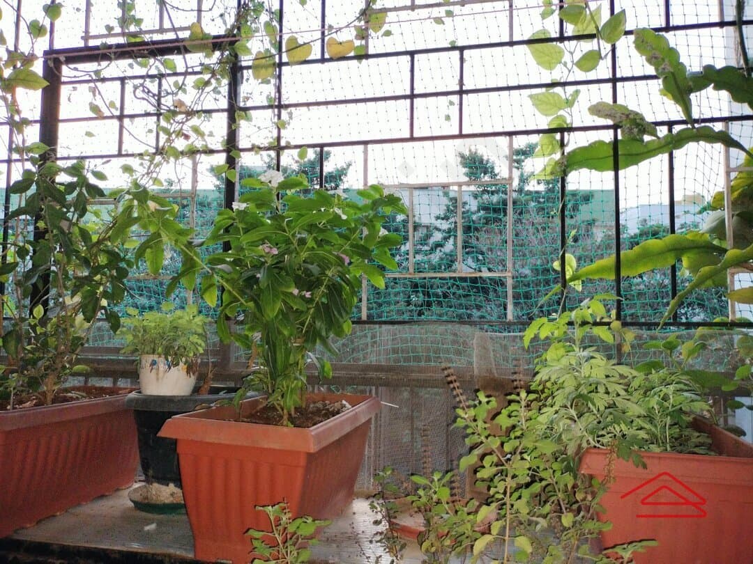 Balcony 1