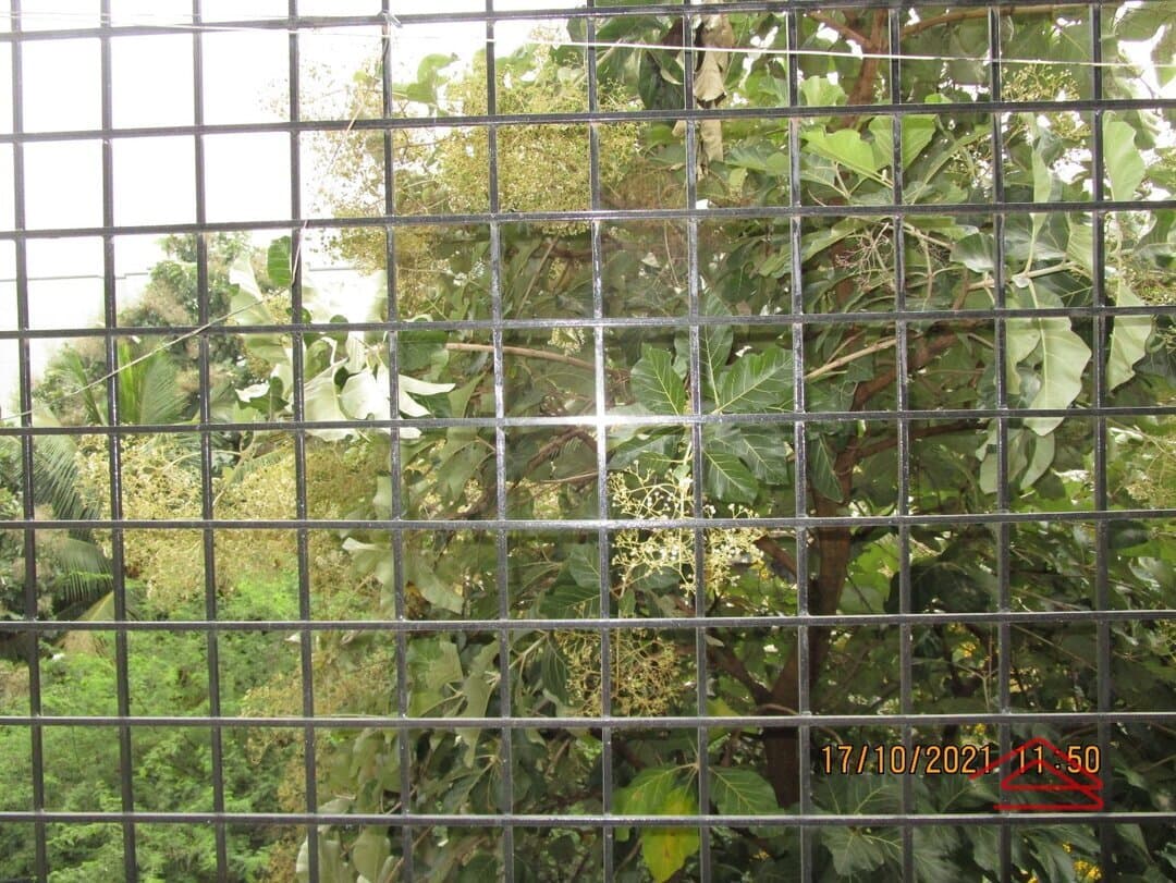 Balcony 1