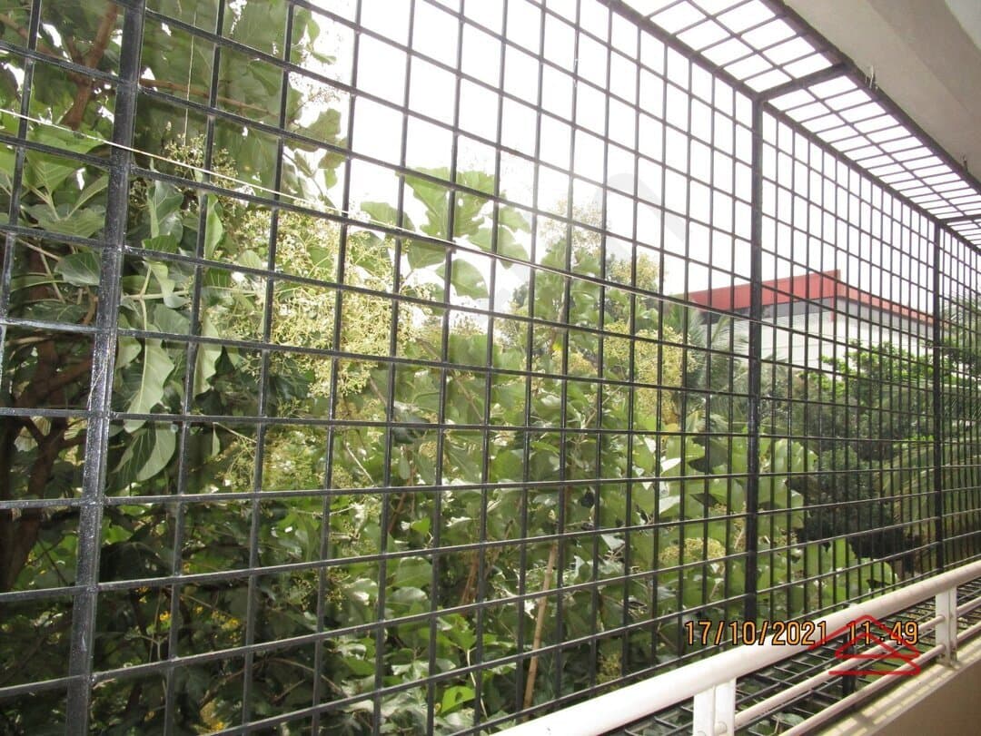 Balcony 1