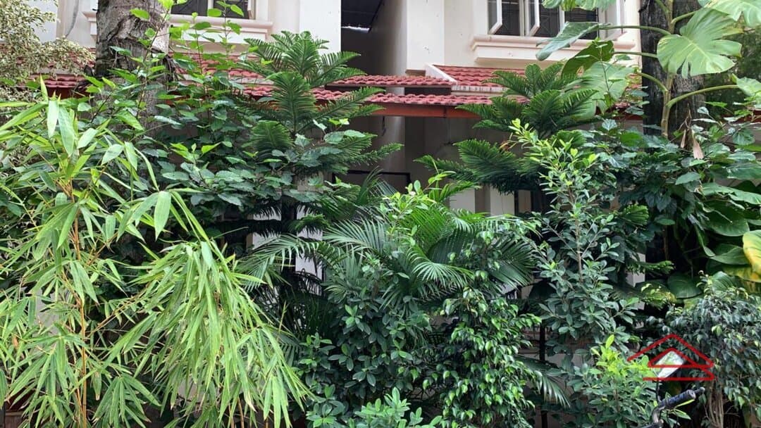 Garden 1