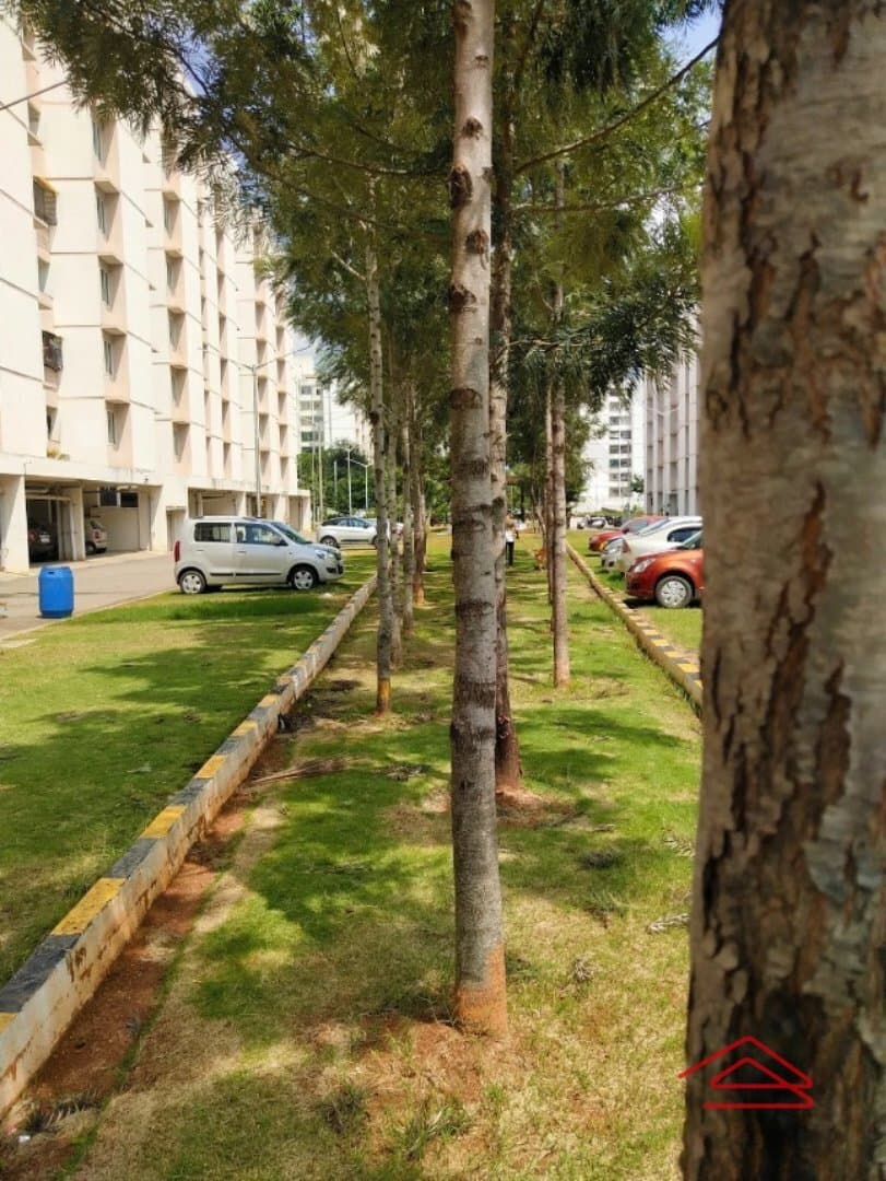 parkings 1