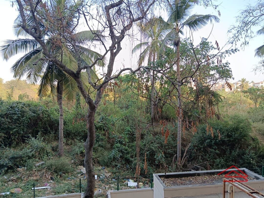 Balcony 1