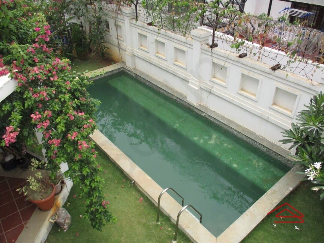 Back Yard 1