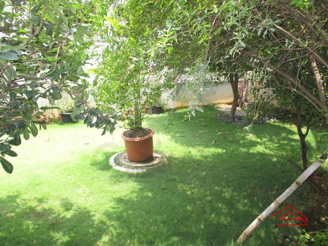 Garden 1