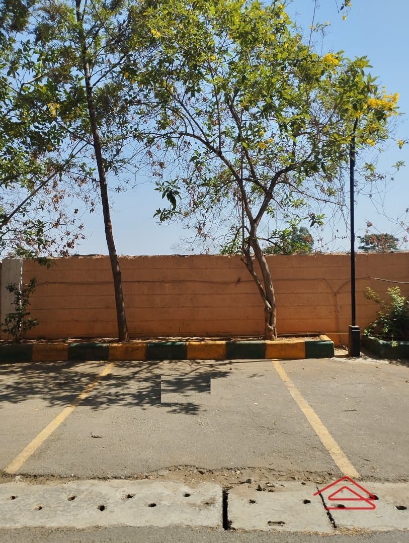 parkings 1