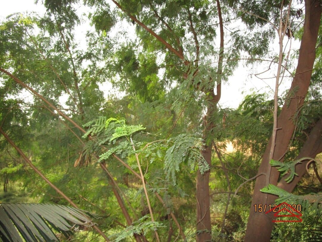 Balcony 2