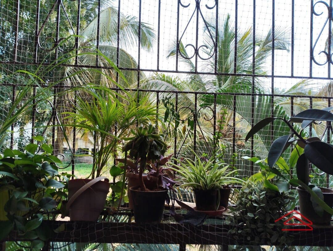 Balcony 1