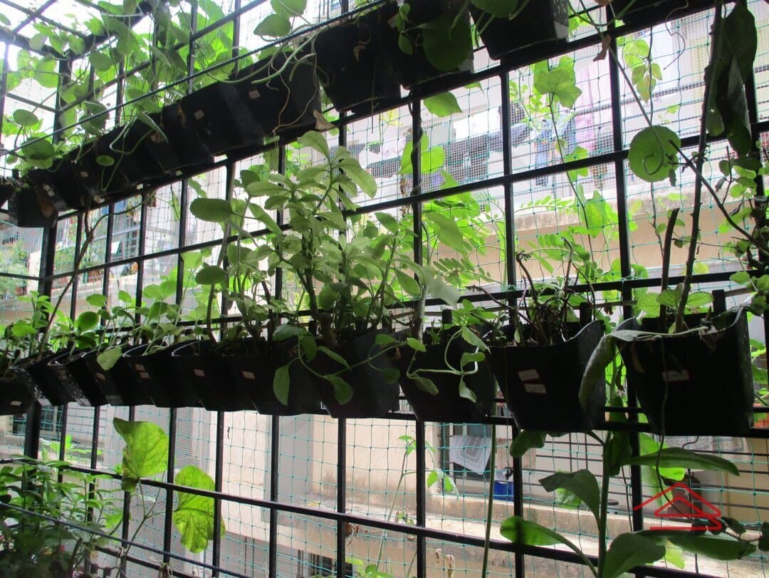 Balcony 1